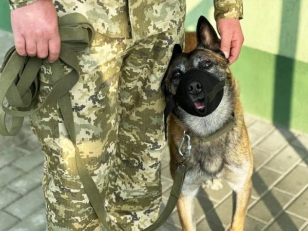 Від дитячої мрії до служби на кордоні: історія ратнівського кінолога та його чотирилапого напарника5