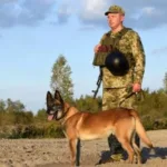 Від дитячої мрії до служби на кордоні: історія ратнівського кінолога та його чотирилапого напарника