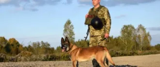 Від дитячої мрії до служби на кордоні: історія ратнівського кінолога та його чотирилапого напарника