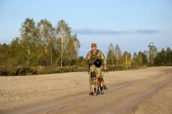 Від дитячої мрії до служби на кордоні: історія ратнівського кінолога та його чотирилапого напарника7