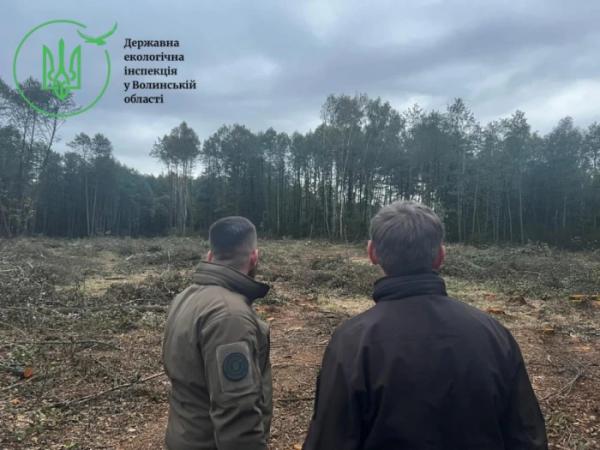 Збитки через зрубані дерева поблизу села Рудка-Миринська оцінили в 10,5 мільйонів гривень1