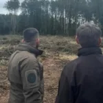Збитки через зрубані дерева поблизу села Рудка-Миринська оцінили в 10,5 мільйонів гривень