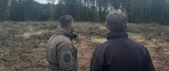 Збитки через зрубані дерева поблизу села Рудка-Миринська оцінили в 10,5 мільйонів гривень