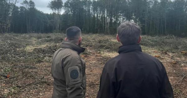 Збитки через зрубані дерева поблизу села Рудка-Миринська оцінили в 10,5 мільйонів гривень