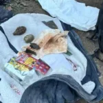 На Херсонщині чоловік кинув вибухівку в бік 12-річного племінника: дитина поранена, зловмисника затримали