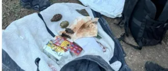 На Херсонщині чоловік кинув вибухівку в бік 12-річного племінника: дитина поранена, зловмисника затримали