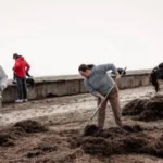 Окупанти знову змусили студентів прибирати на пляжі в Генічеську