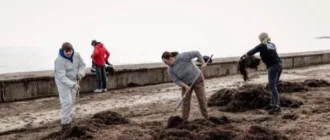 Окупанти знову змусили студентів прибирати на пляжі в Генічеську