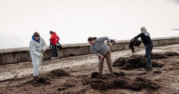 Студенти прибирають пляж в Генічеську Студенти прибирають пляж в Генічеську