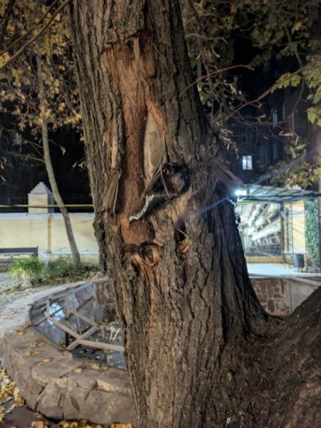 Письменниця Оксана Забужко розповіла, як Миколаїв перетворює біль на силу відродження1