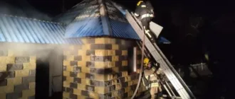 Пожежа у Великих Селищах: рятувальники швидко загасили вогонь у господарчій будівлі