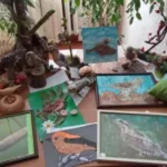 Школярі з Острожчини стали призерами обласного етапу Всеукраїнського конкурсу «Птах року 2025 – Крутиголовка»