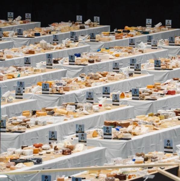 Сири з Золотарьова Хустського району увійшли у ТОП-3 світового конкурсу у Швейцарії Сири з Золотарьова Хустського району увійшли у ТОП-3 світового конкурсу у Швейцарії