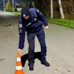 У Кілійській громаді затримали водія, який напідпитку збив двох неповнолітніх і намагався втекти