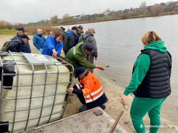 У нововолинське озеро запустили близько пів тонни риби2