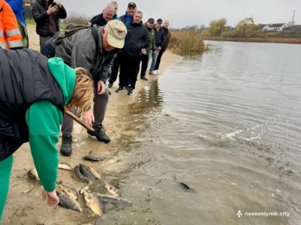 У нововолинське озеро запустили близько пів тонни риби4