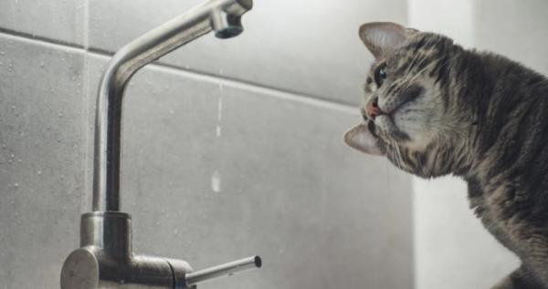 У Рожищі – прорив на водопроводі: дві вулиці залишились без води