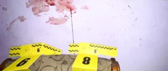 Ударами молотком та ножем: в Дубні колишній в’язень вбив знайомого