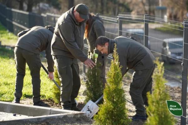 Завершення програми Президента «Зелена країна»: на Рівненщині висадили символічне мільярдне дерево3