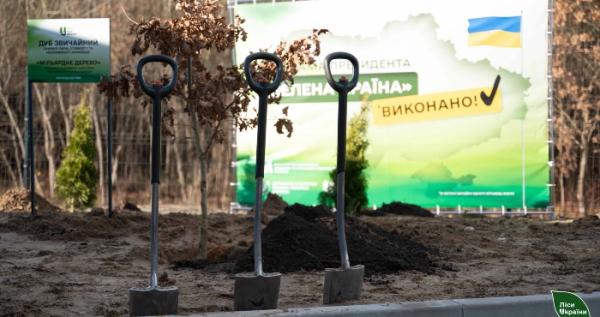 Фото з місця події / «Ліси України»