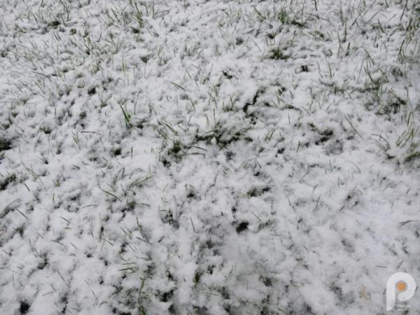 Зима близько: у Старій Вижівці випав перший сніг1