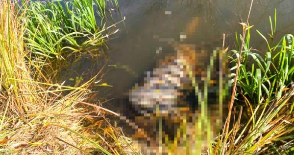 Місцезнаходження чоловіка вдалося встановити за допомогою дрона. Місцезнаходження чоловіка вдалося встановити за допомогою дрона.