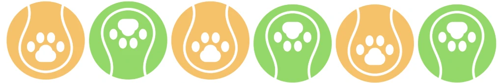 Іграшки для улюбленців: що потрібно знати перед покупкою