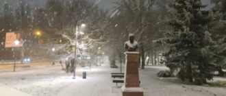 На Симферополь обрушился снегопад – власти оказались не готовы