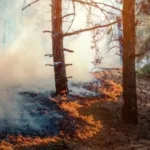 Російська агресія завдала Україні понад 6 трильйонів гривень екологічних збитків