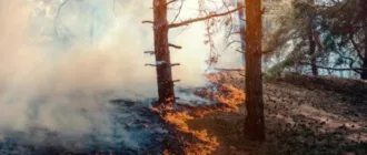 Російська агресія завдала Україні понад 6 трильйонів гривень екологічних збитків