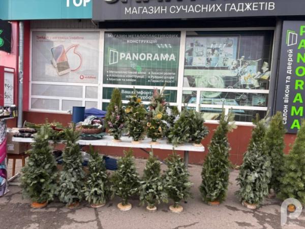 У Ковелі розпал ялинкових ярмарків: які ціни на ялинки у 2025 році11