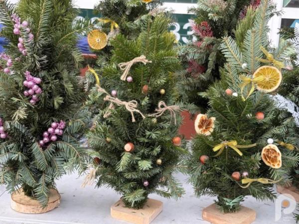 У Ковелі розпал ялинкових ярмарків: які ціни на ялинки у 2025 році12
