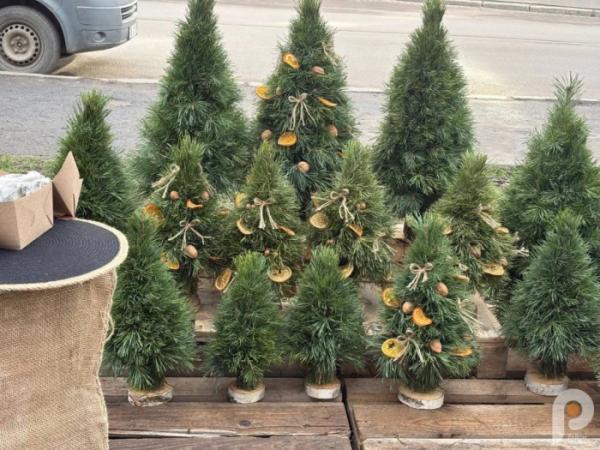 У Ковелі розпал ялинкових ярмарків: які ціни на ялинки у 2025 році8