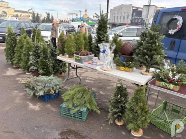 У Ковелі розпал ялинкових ярмарків: які ціни на ялинки у 2025 році9