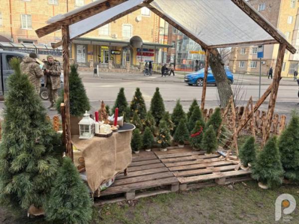 У Ковелі розпал ялинкових ярмарків: які ціни на ялинки у 2025 році7