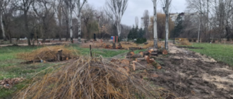 У парку Сімферополя вирубують дерева для потреб російських військових - ЗМІ