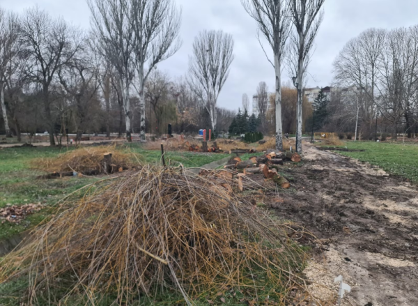У парку Сімферополя вирубують дерева для потреб російських військових - ЗМІ0