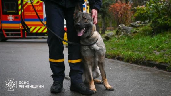 У Рівному відкрили пам’ятну фігуру «песиків-рятувальників ДСНС»2