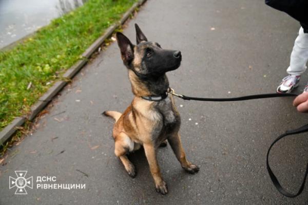 У Рівному відкрили пам’ятну фігуру «песиків-рятувальників ДСНС»4