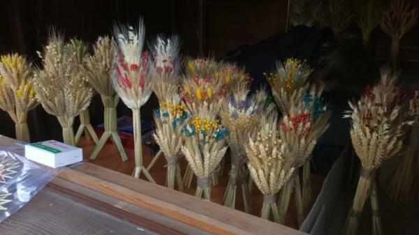 В Острозі на Замковій горі засвітили головну ялинку міста14