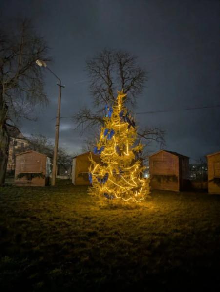 В Острозі на Замковій горі засвітили головну ялинку міста7