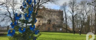 В Острозі на Замковій горі засвітили головну ялинку міста