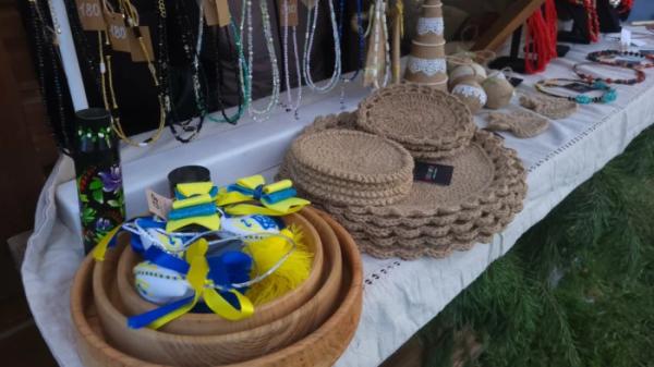 В Острозі на Замковій горі засвітили головну ялинку міста11