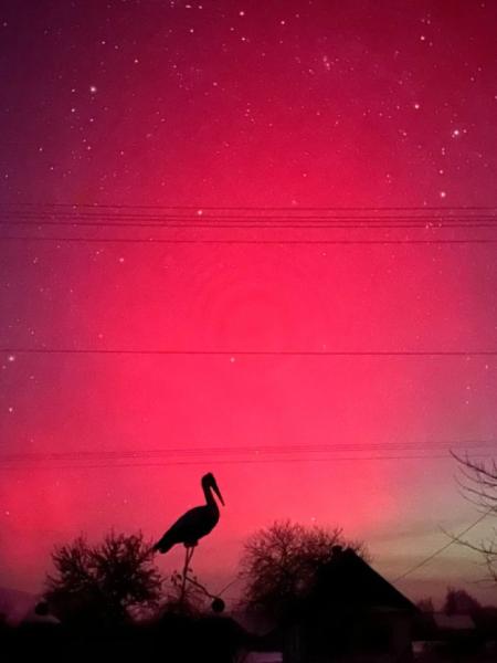 Багряне небо над Вараським районом: місцеві жителі спостерігають дивовижне природне явище18