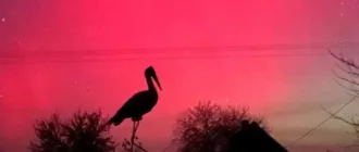 Багряне небо над Вараським районом: місцеві жителі спостерігають дивовижне природне явище