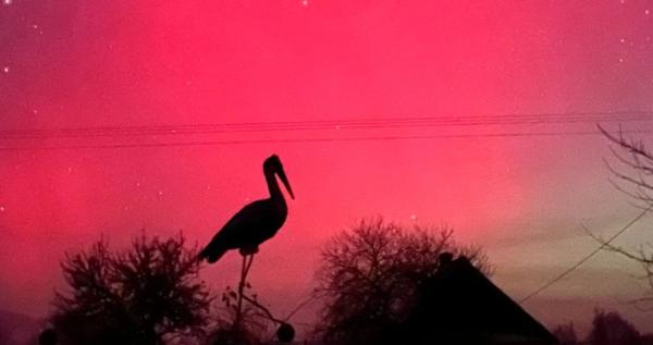 Багряне небо. Фото Людмили Килюшик