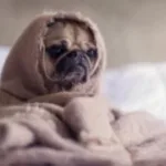 На Рівненщині очікується різке похолодання до -29°C та ожеледиця на дорогах