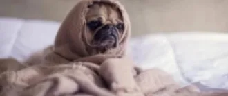 На Рівненщині очікується різке похолодання до -29°C та ожеледиця на дорогах