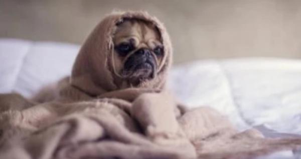 Фото ілюстративне / похолодання Фото ілюстративне / похолодання