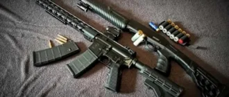 На Волині екоінспектори знайшли покинуту мисливську рушницю під час рейду біля річки